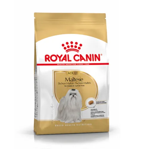 Royal Canin Adult Bichón Maltés pienso para perros