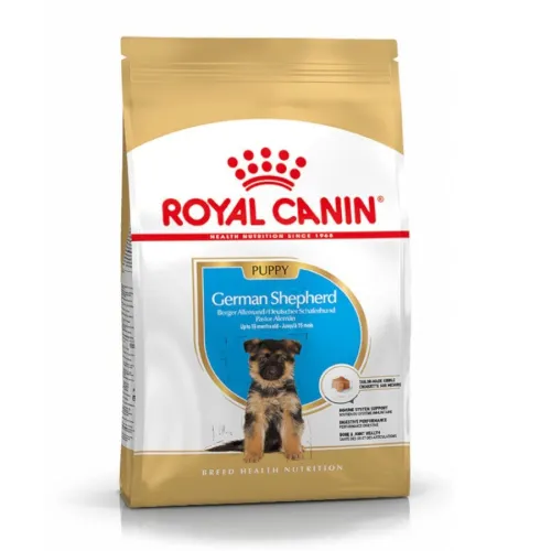 Royal Canin Puppy Pastor Alemán pienso para perros