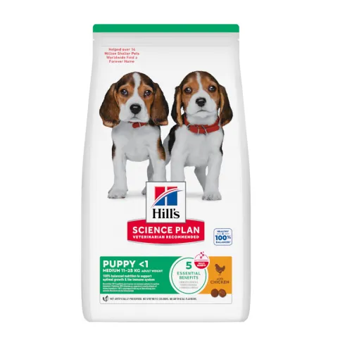 Hills Science Plan pienso pollo para cachorros de razas medianas