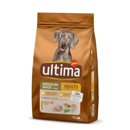 Affinity Ultima Adult Medium/Maxi Pollo pienso para perros