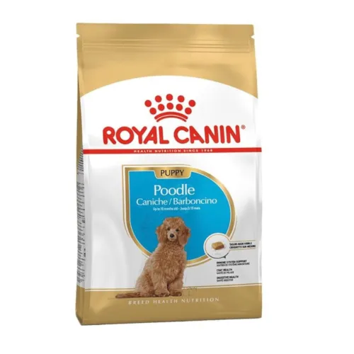 Royal Canin Poodle Puppy pienso para perros