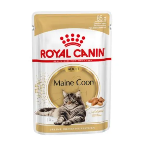 Royal Canin Maine Coon sobres para gatos