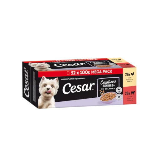 Cesar Senior 8+ Selección en Gelatina sobres para perros - Multipack