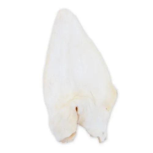 Criadores Oreja de búfalo snack natural para perros