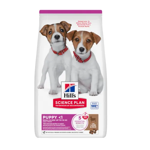 Hills Science Plan pienso cordero y arroz para cachorros de razas pequeñas y mini