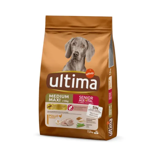 Affinity Ultima Senior Medium/Maxi Pollo pienso para perros