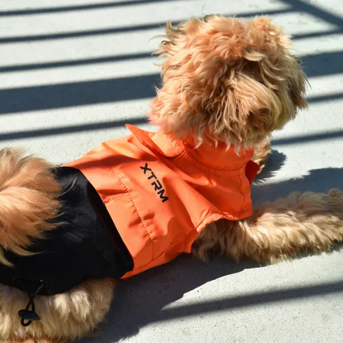Nayeco X-TRM Chubasquero Naranja y Negro para perros