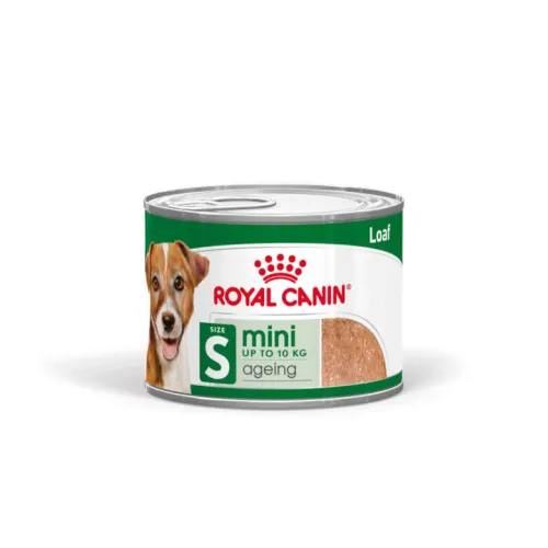 Royal Canin Mini 8+ Ageing lata para perros senior