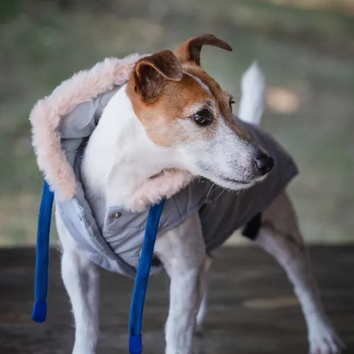 Freedog Abrigo Impermeable Iceguard Gris para perros