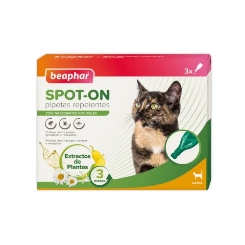 Gatos | Antiparasitarios gatos | Pipetas