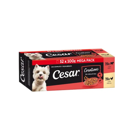 Cesar Selección en Gelatina Pollo y Buey sobres para perros - Multipack