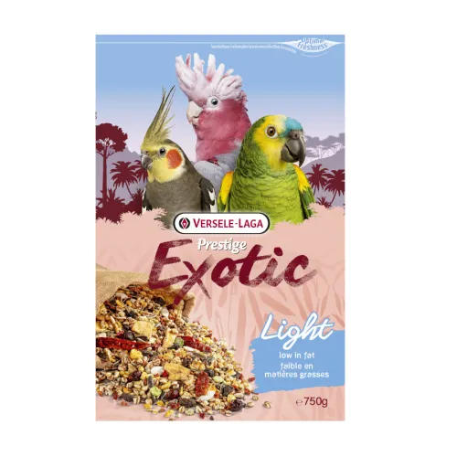 Pájaros | Comida | Loros y Cotorras