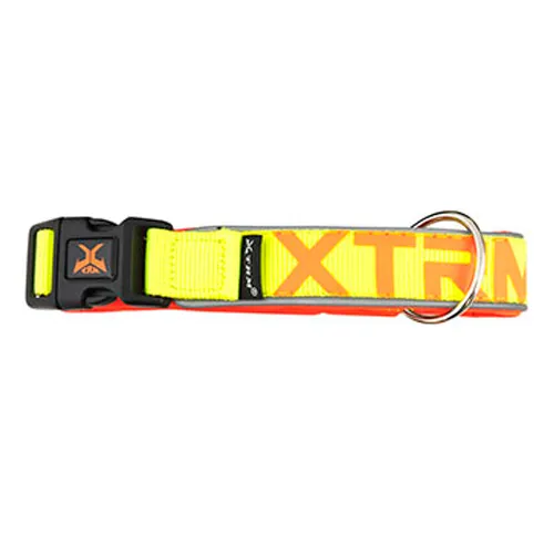 Perros | Collares y arneses | Collares de nylon