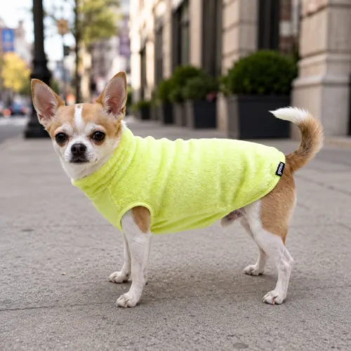 Perros | Ropa para perros | Jerseys