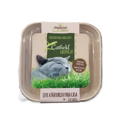 Gatos | Snacks | Hierba