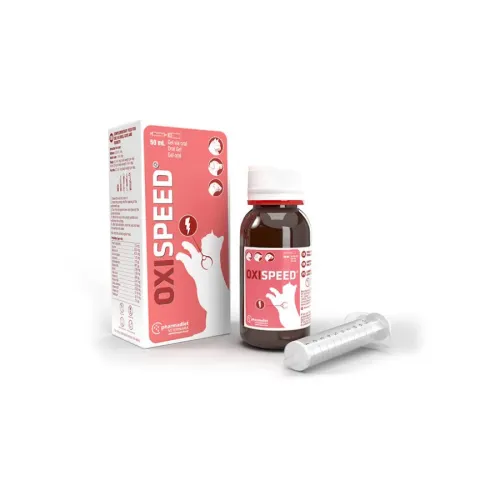 Gatos | Productos para la salud | Condroprotectores