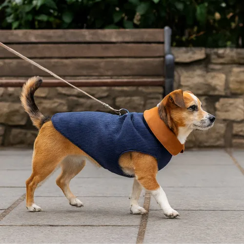 Outech Abrigo Estilo Aviador Rosa y Azul para perros