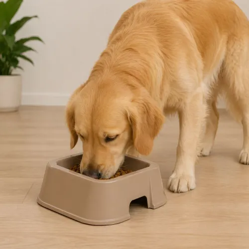 Leeby Comedero Cuadrado Taupe para perros