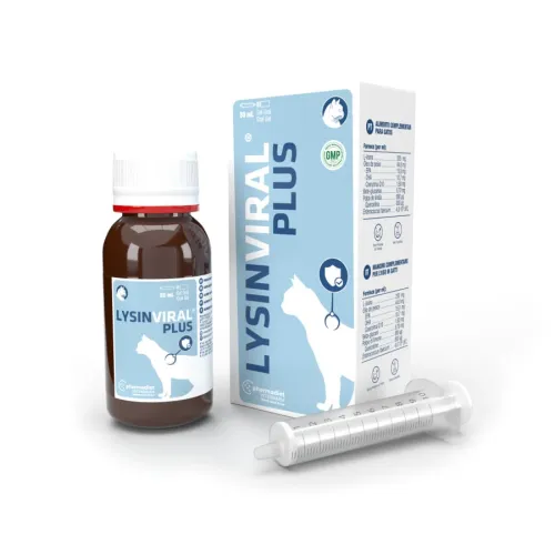 Gatos | Productos para la salud | Vitaminas
