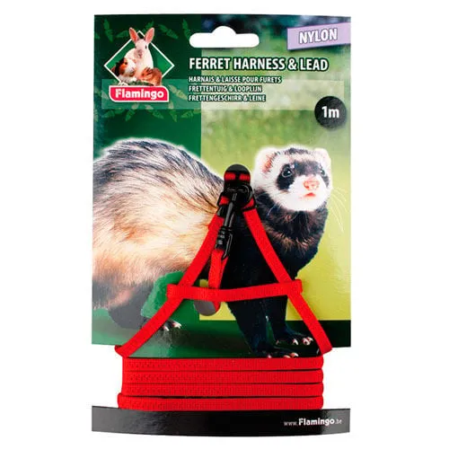 Roedores y Hurones | Accesorios | Transportines y arneses