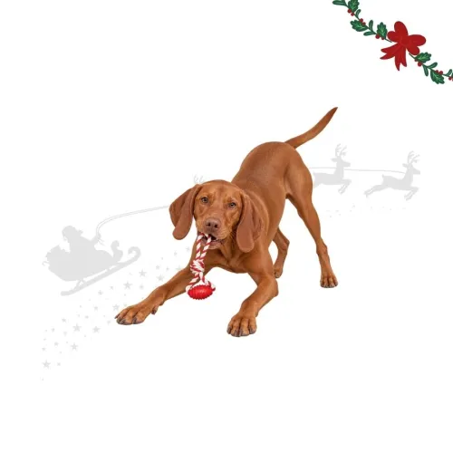 Wonder Christmas Hueso con Cuerda Juguete para perros