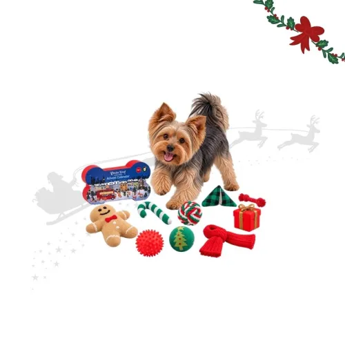 Wonder Christmas Calendario Adviento Premium Juguete para perros